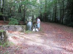 Une promenade dans la Montagne Noire